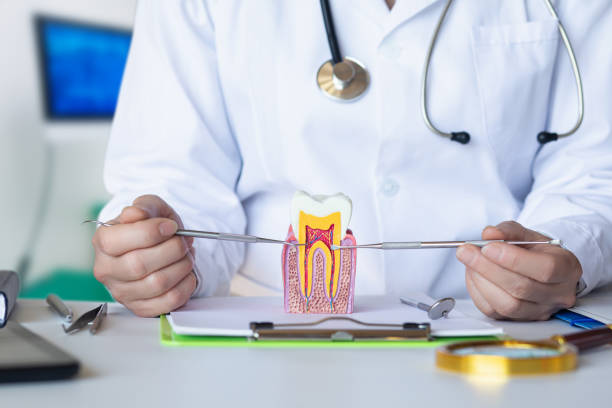 Best Orthodontic Emergency Dentist in Chesapeake, OH